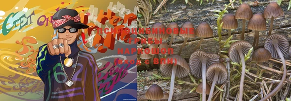 не бодяженный Карпинск