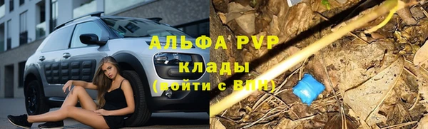 a pvp Касимов